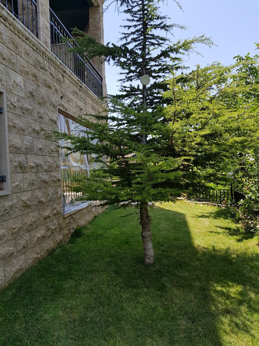 Mresty Guest House in Mristi