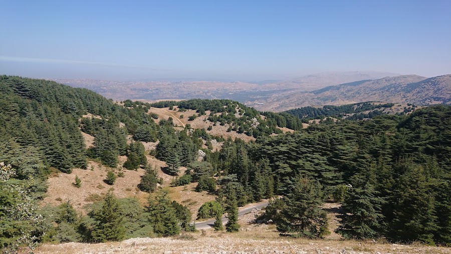 Shouf Biosphere Reserve Barouk Cedar Forest in Barouk